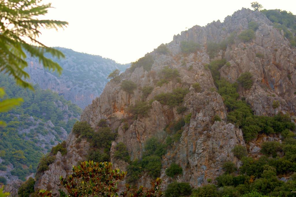 Safir Pansiyon Çıralı エクステリア 写真