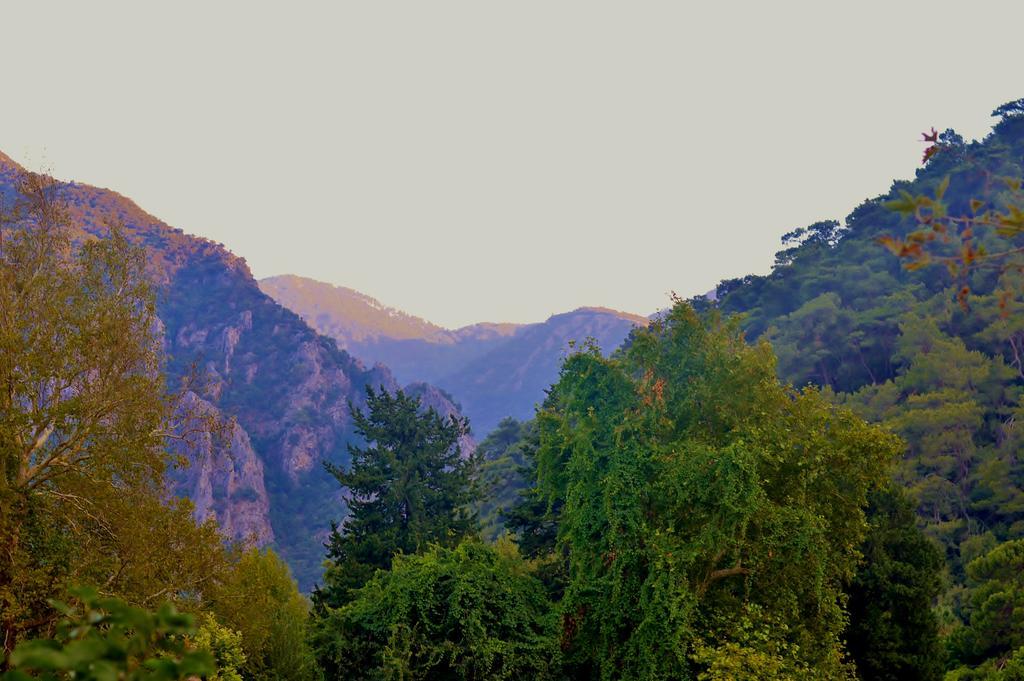 Safir Pansiyon Çıralı エクステリア 写真